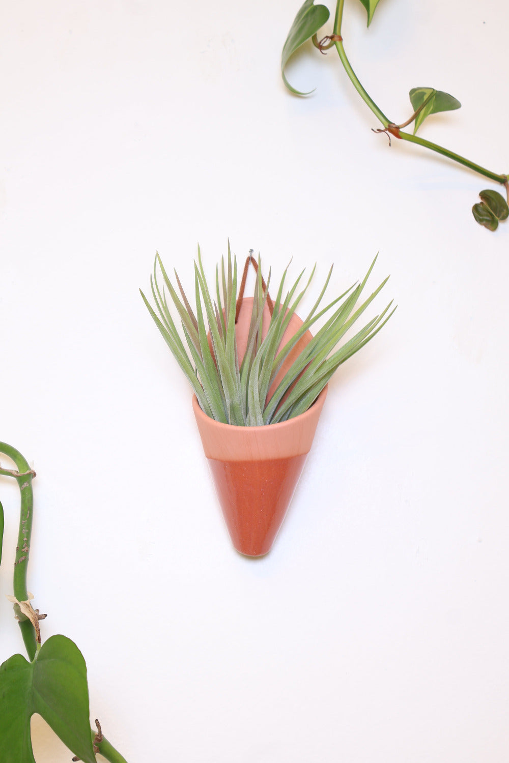 Carter + Rose Ceramic Wall Planter, Medium Cone | Heirloom Boulevard