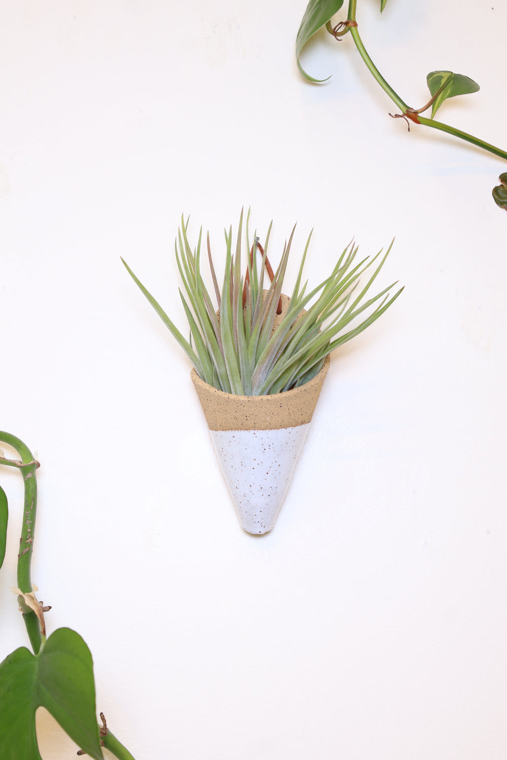 Carter + Rose Ceramic Wall Planter, Medium Cone | Heirloom Boulevard