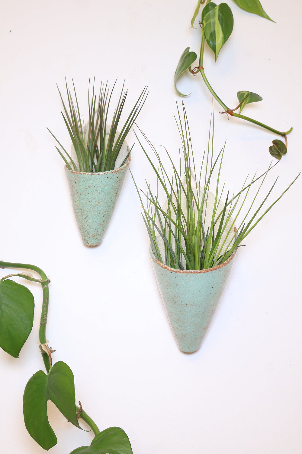 Carter + Rose Ceramic Wall Planter, Medium Cone | Heirloom Boulevard