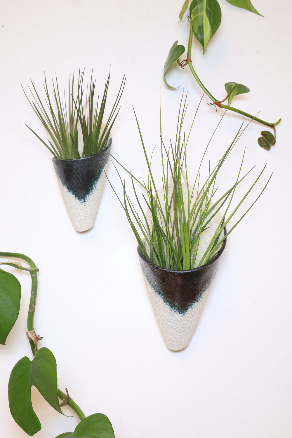 Carter + Rose Ceramic Wall Planter, Medium Cone | Heirloom Boulevard