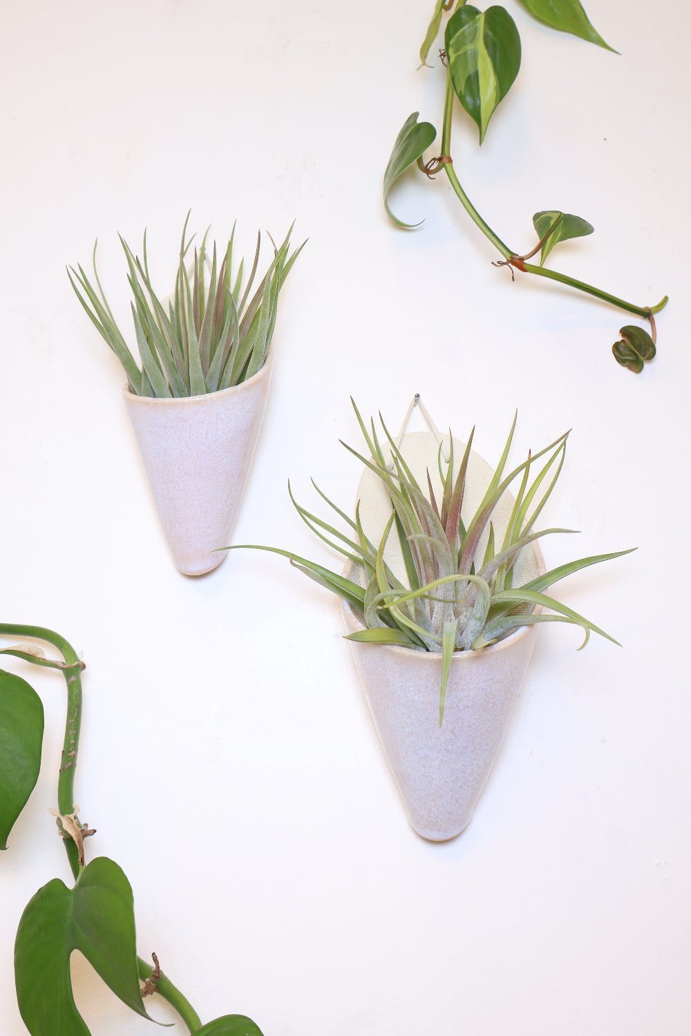 Carter + Rose Ceramic Wall Planter, Large Cone