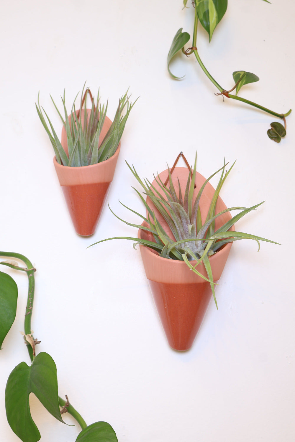 Carter + Rose Ceramic Wall Planter, Large Cone