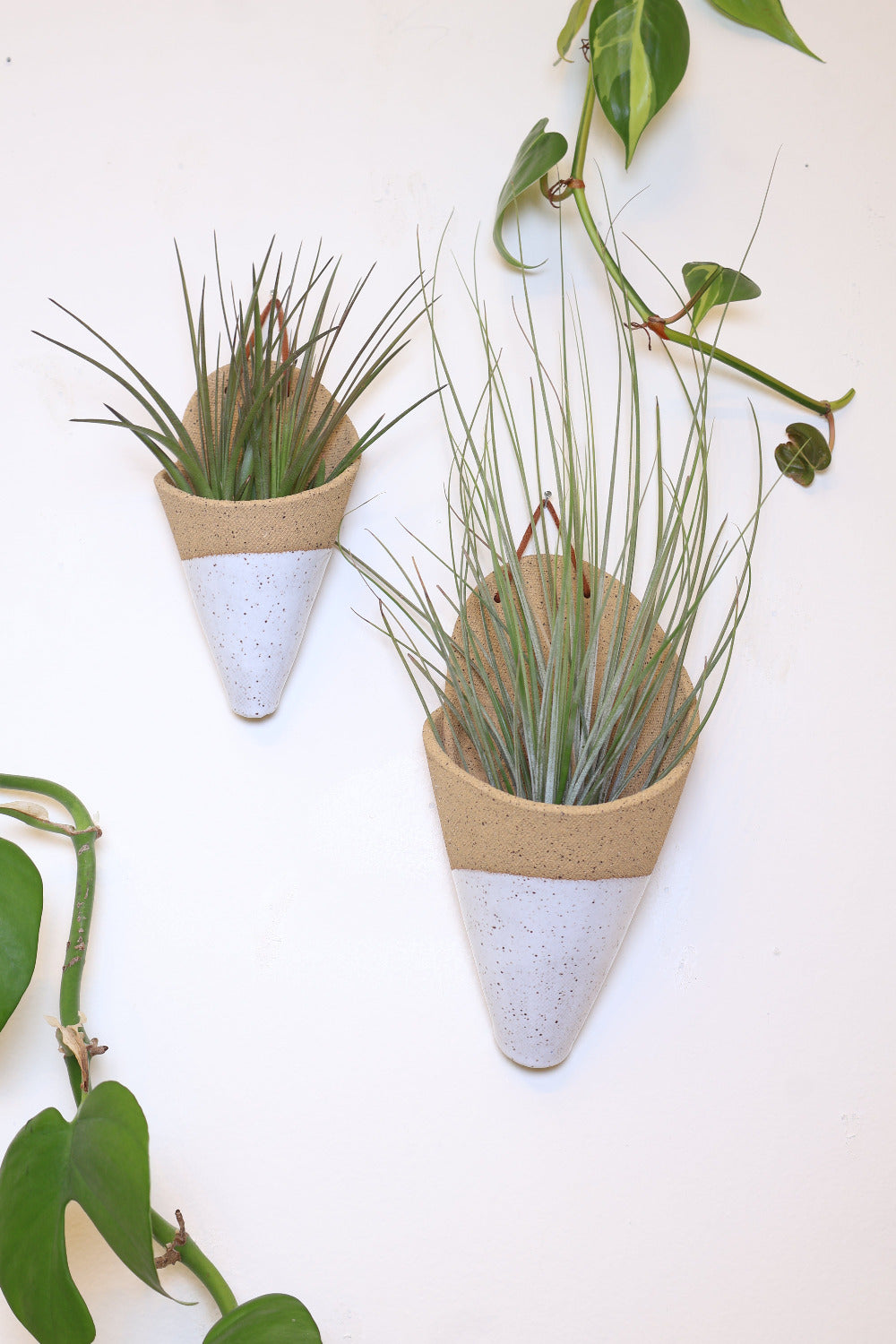 Carter + Rose Ceramic Wall Planter, Medium Cone | Heirloom Boulevard