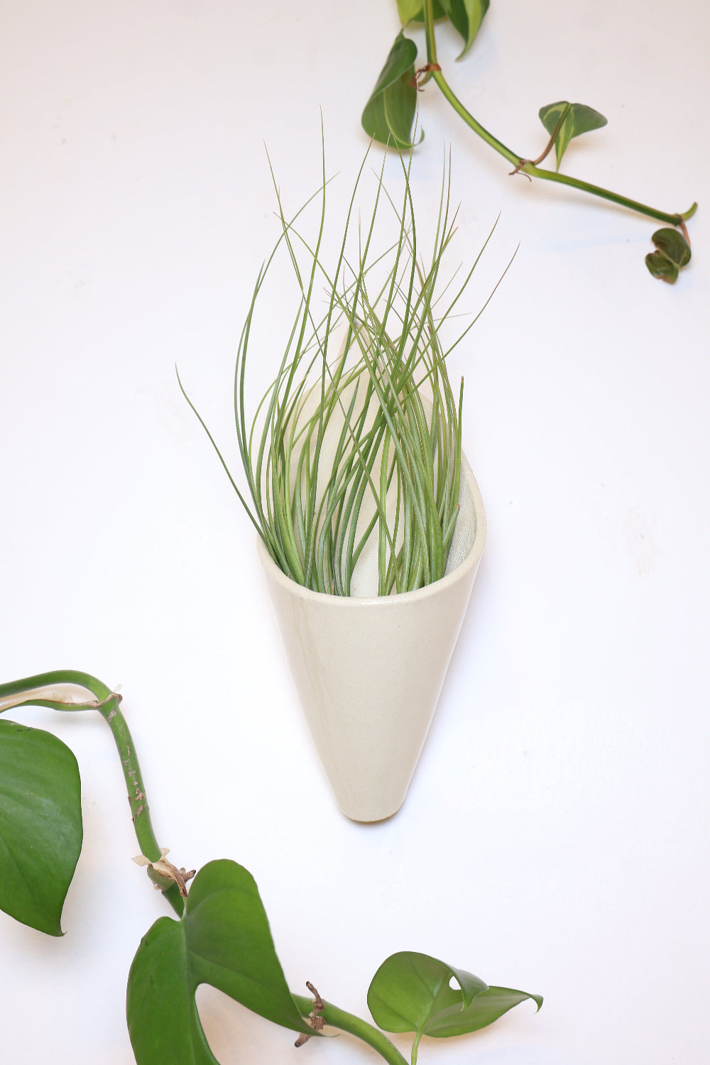 Carter + Rose Ceramic Wall Planter, Large Cone