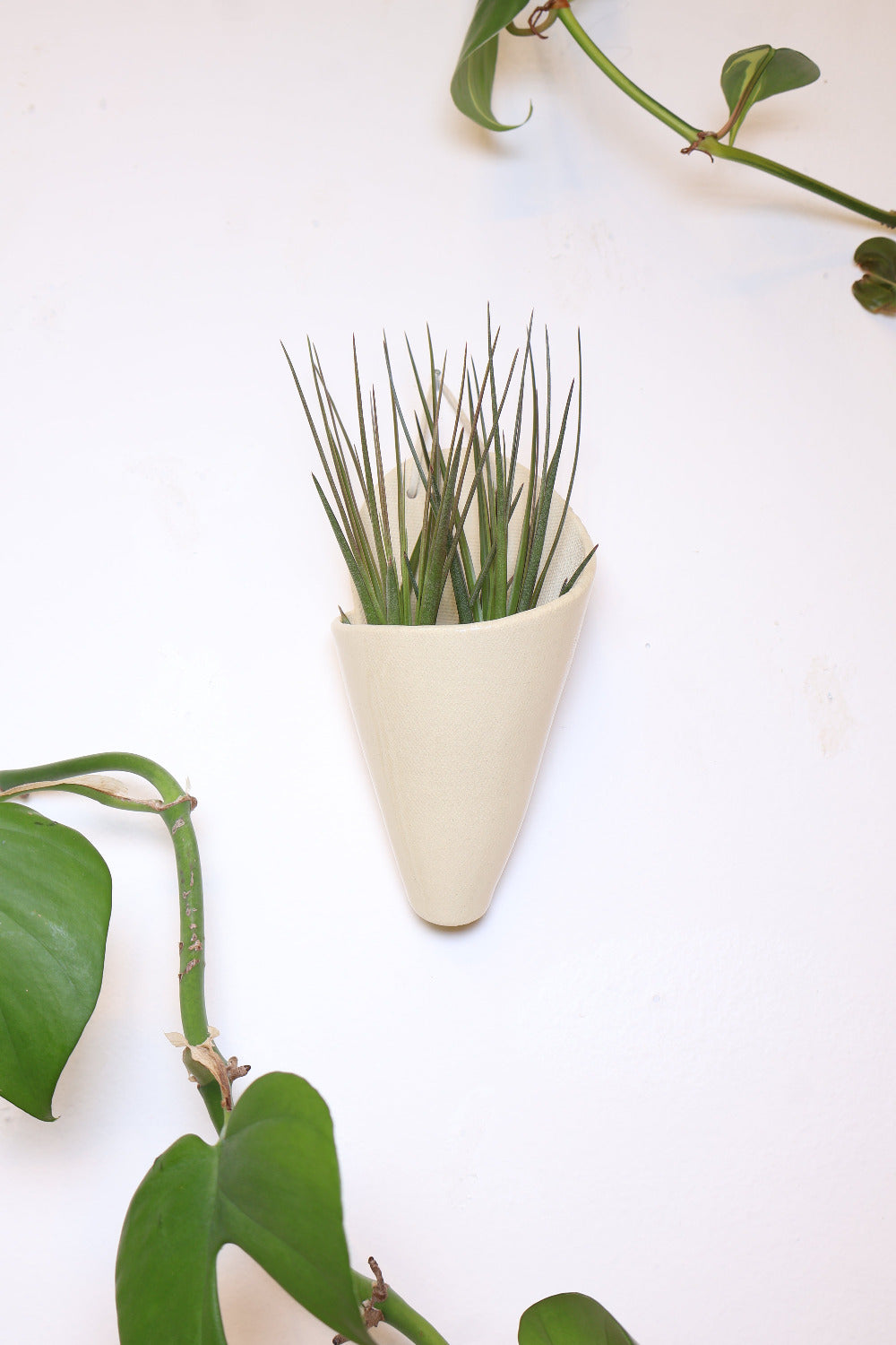 Carter + Rose Ceramic Wall Planter, Medium Cone | Heirloom Boulevard