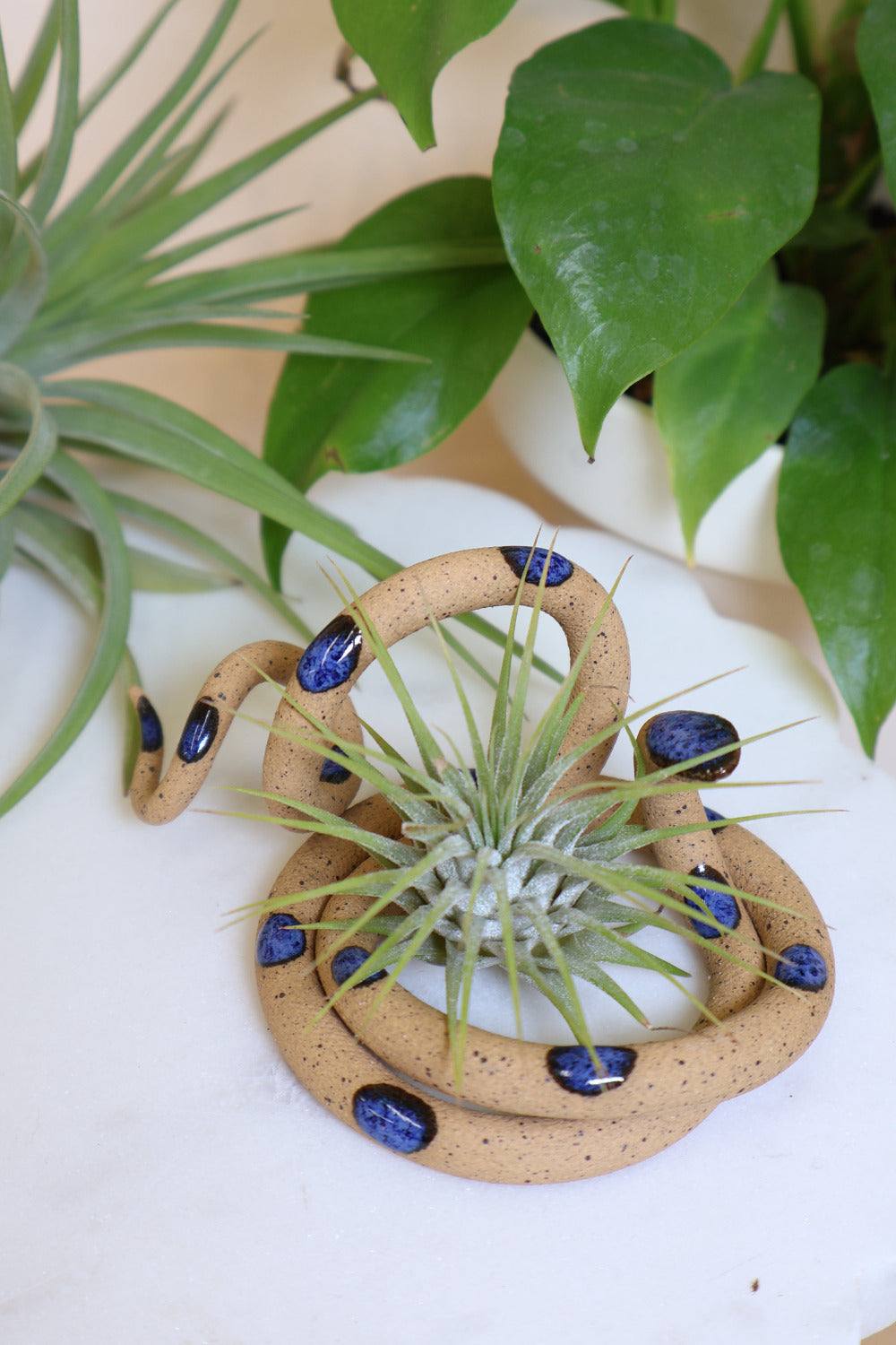 Carter + Rose Ceramic Snake, Medium Selena With plant | Heirloom Boulevard