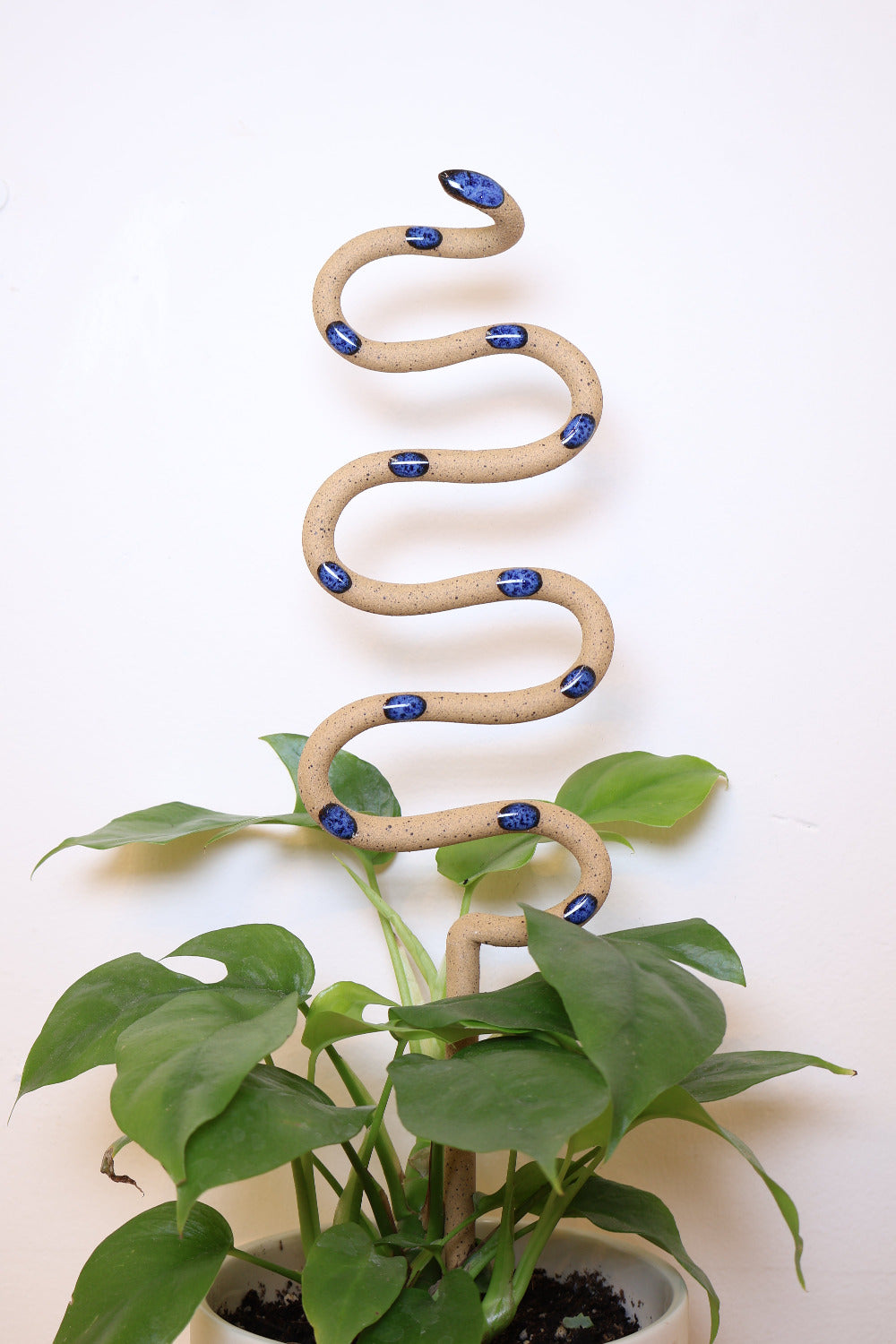 Carter + Rose, Plant Snake Stake Selena Large | Heirloom Boulevard