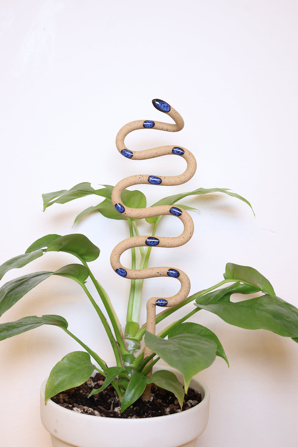 Carter + Rose, Plant Snake Stake Selena Medium | Heirloom Boulevard
