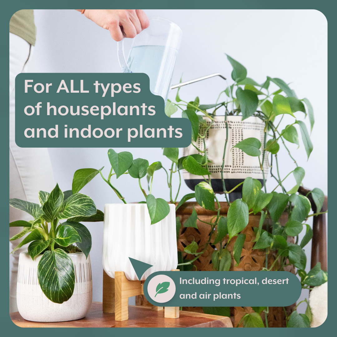 Instant Plant Food The Revive Bundle (Plant ProBiotics + Natural Pest Control) for HOUSEPLANTS | Heirloom Boulevard