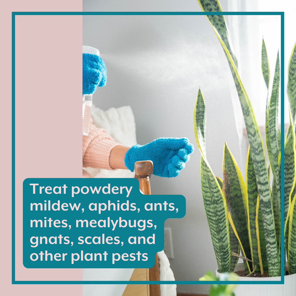 Instant Plant Food The ULTIMATE Plant Parent Bundle (Plant Food + ProBiotics + Natural Pest Control + All Accessories) | Heirloom Boulevard