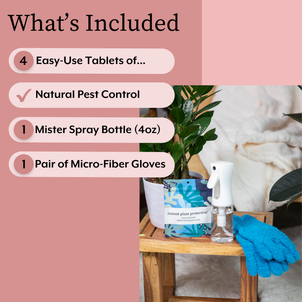 Instant Plant Food The Houseplant DEFENSE Bundle (Natural Pest Control + Gloves + Spray Bottle) | Heirloom Boulevard