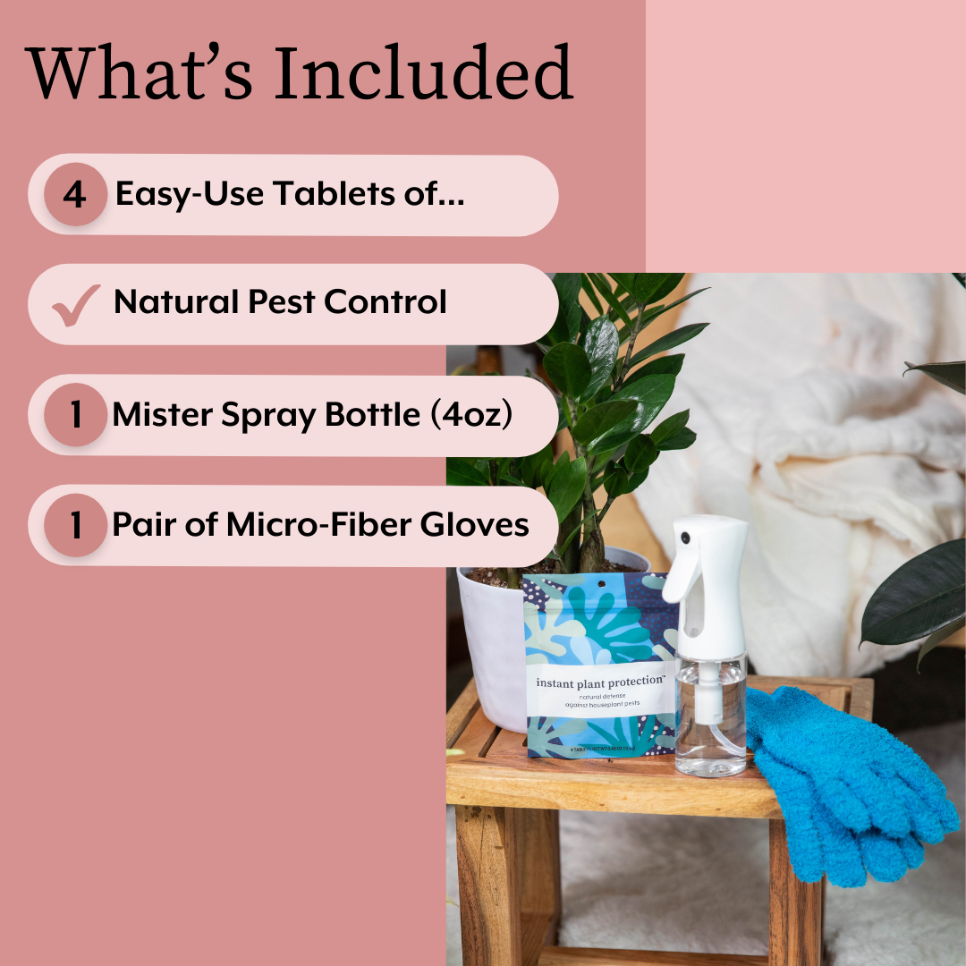 Instant Plant Food The Houseplant DEFENSE Bundle (Natural Pest Control + Gloves + Spray Bottle) | Heirloom Boulevard