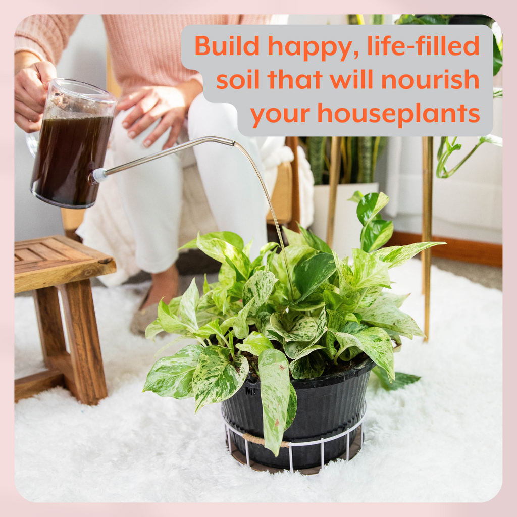 Instant Plant Food The ULTIMATE Plant Parent Bundle (Plant Food + ProBiotics + Natural Pest Control + All Accessories) | Heirloom Boulevard