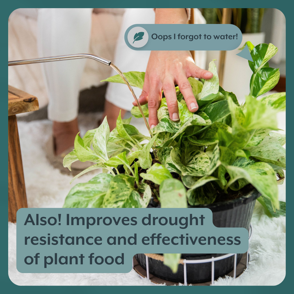 Instant Plant Food The Houseplant GROW Bundle (Plant Food + ProBiotics + Watering Can) | Heirloom Boulevard