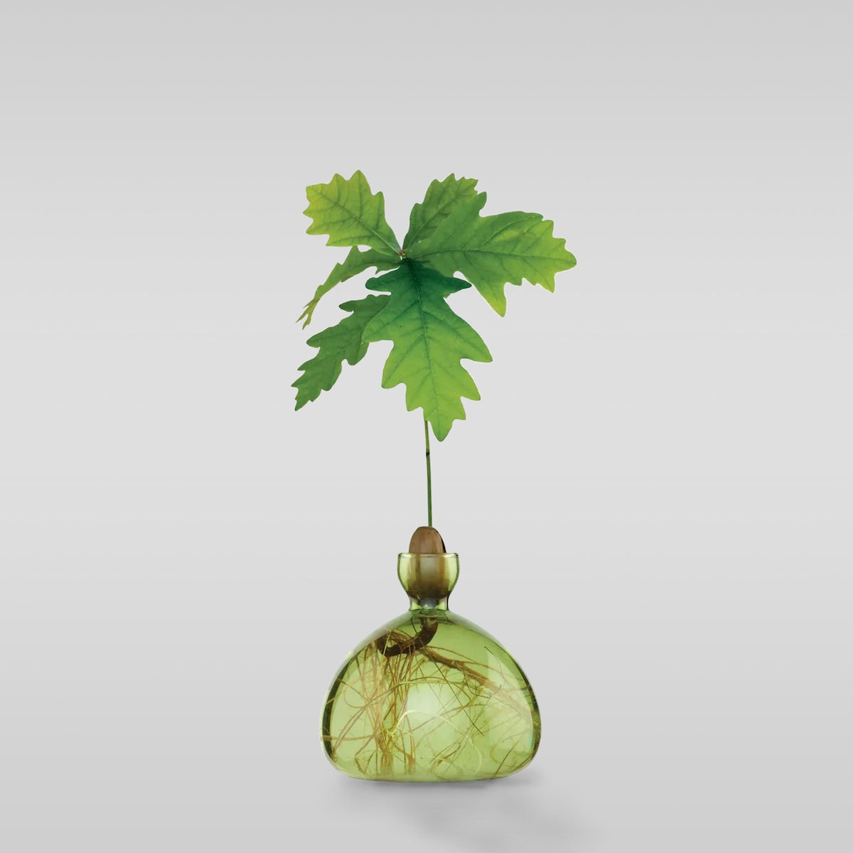 Bloomist Acorn Vase Grass Green | Heirloom Boulevard