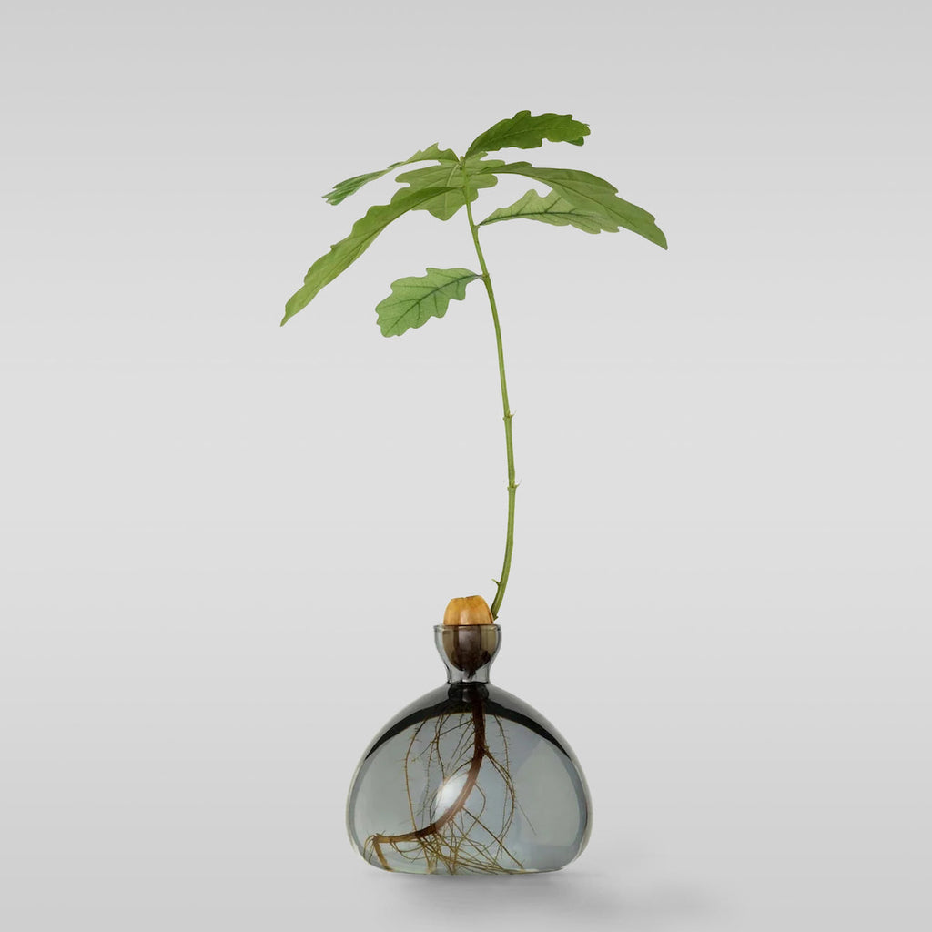 Bloomist Acorn Vase Smoke Grey | Heirloom Boulevard