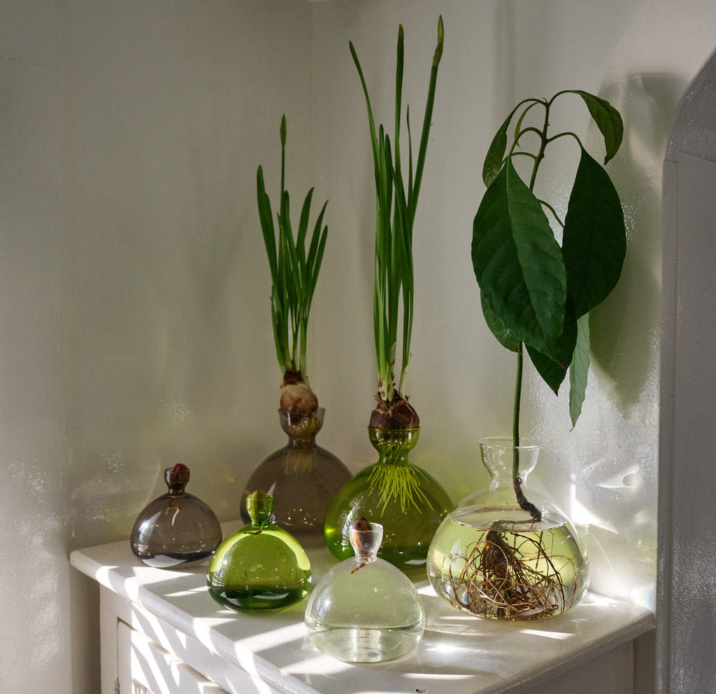 Bloomist Acorn Vase | Heirloom Boulevard