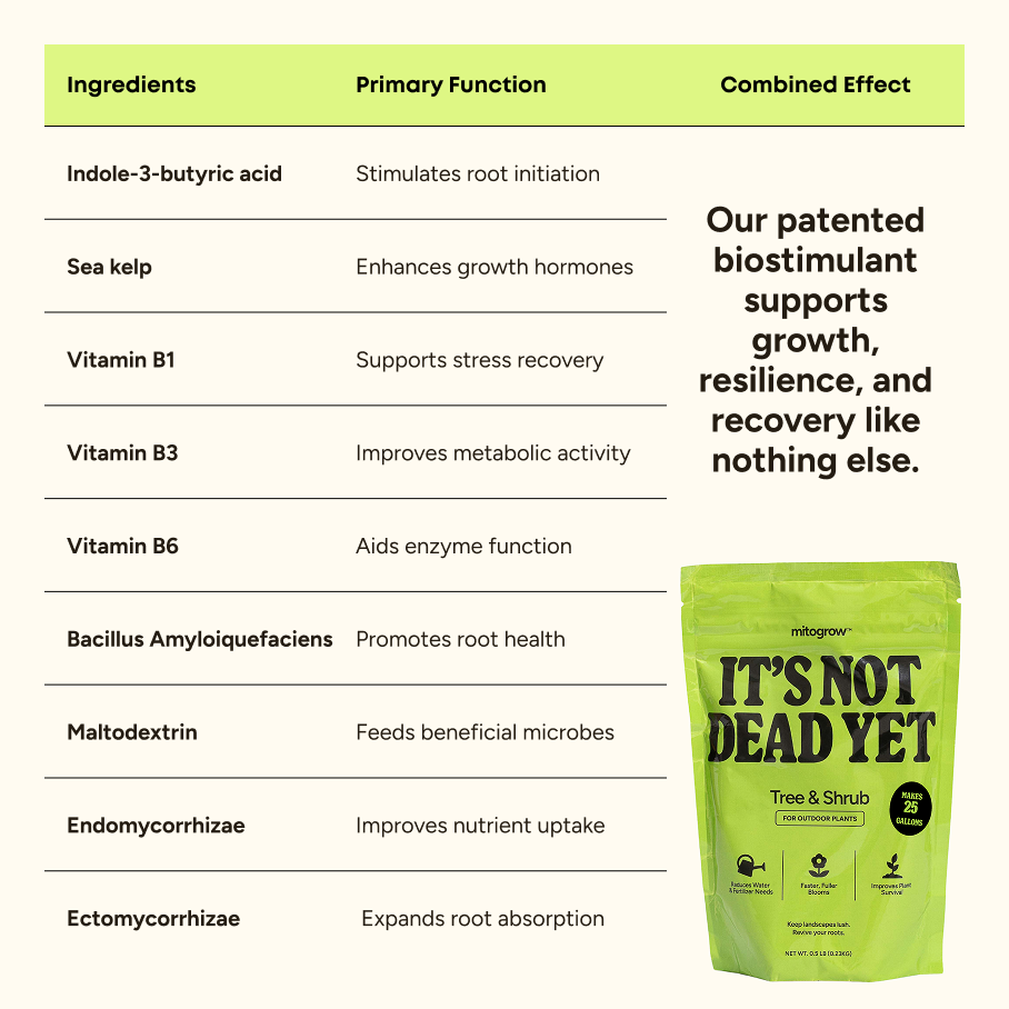 MitoGrow Tree & Shrub | Heirloom Boulevard