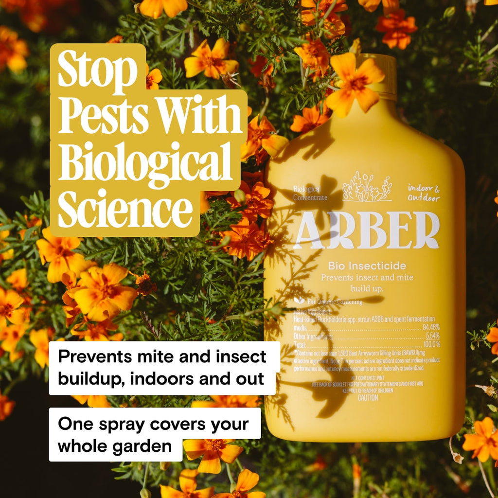 Arber Organic Bio Insecticide | Heirloom Boulevard