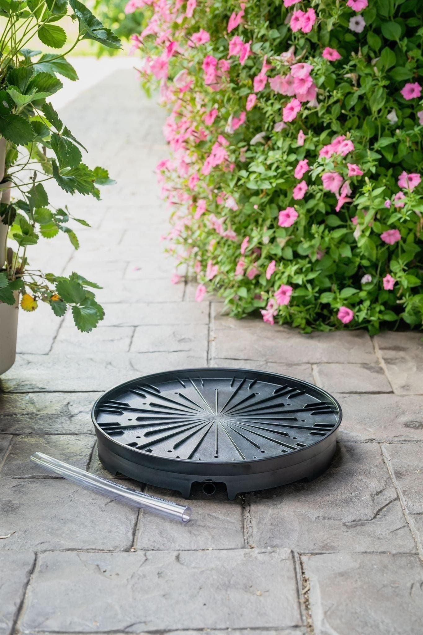 GreenStalk Garden Ultimate Spinner Base Only | Heirloom Boulevard
