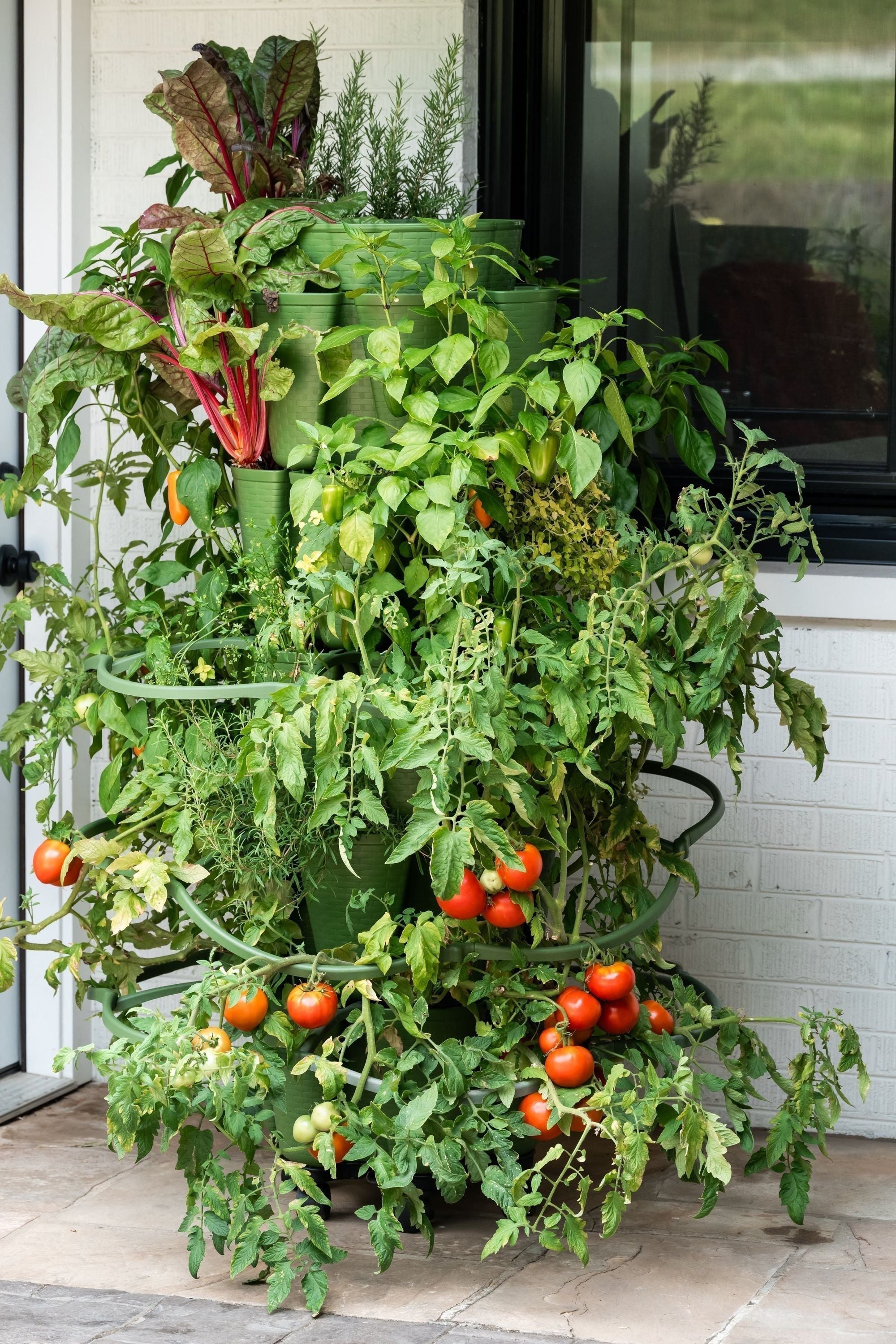 GreenStalk Garden Plant Support (Set of 3) | Heirloom Boulevard