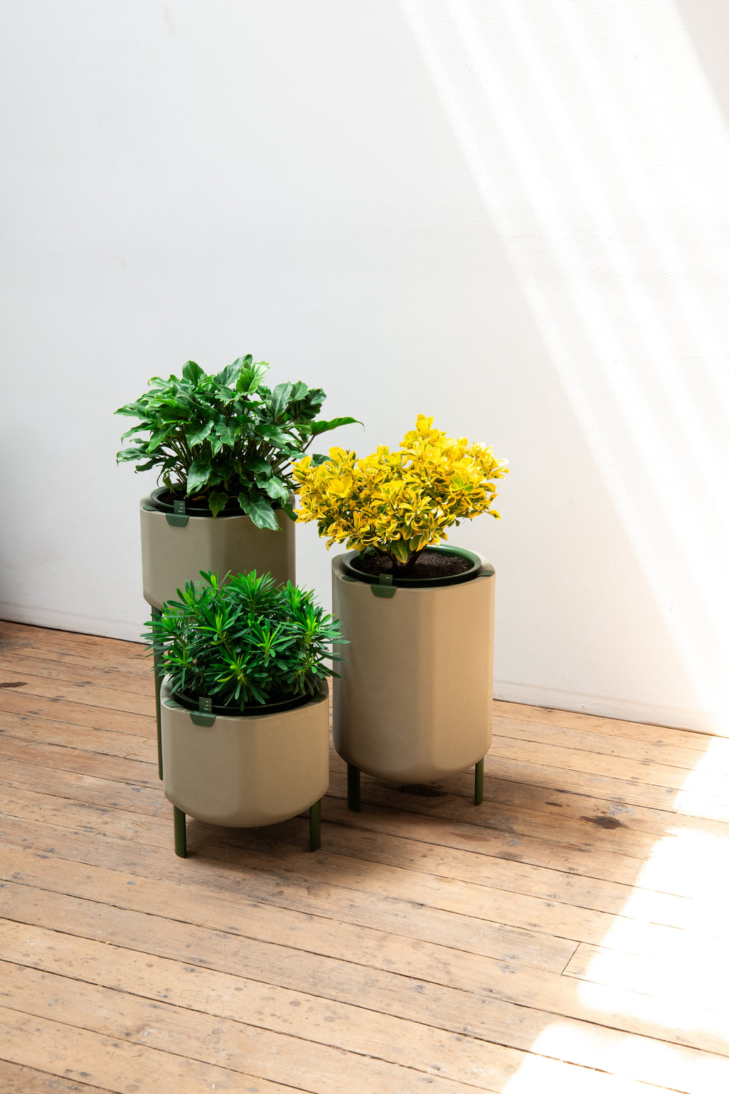 Marly Garden Smaller Marly Planter | Heirloom Boulevard