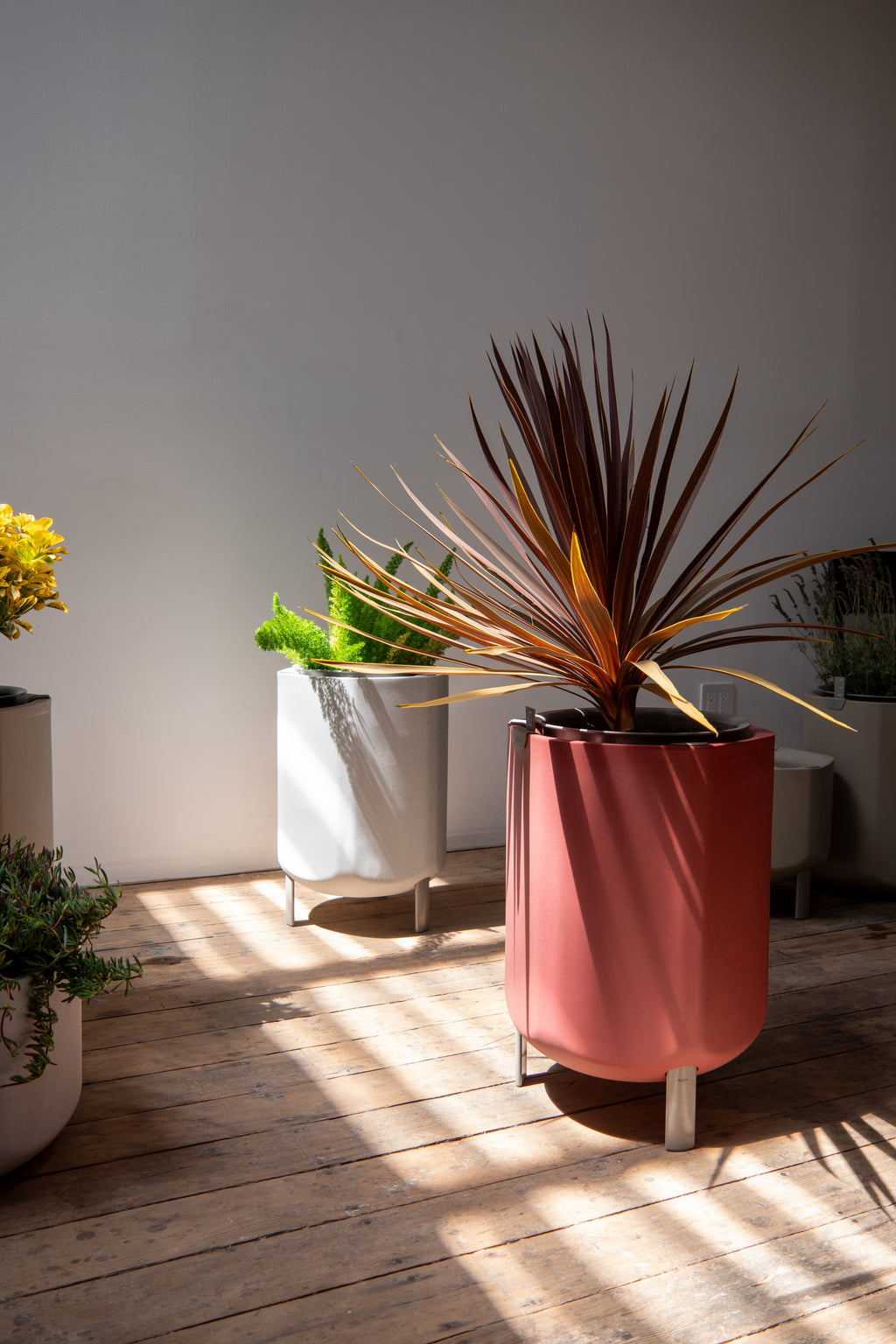 Marly Garden Larger Marly Planter | Heirloom Boulevard