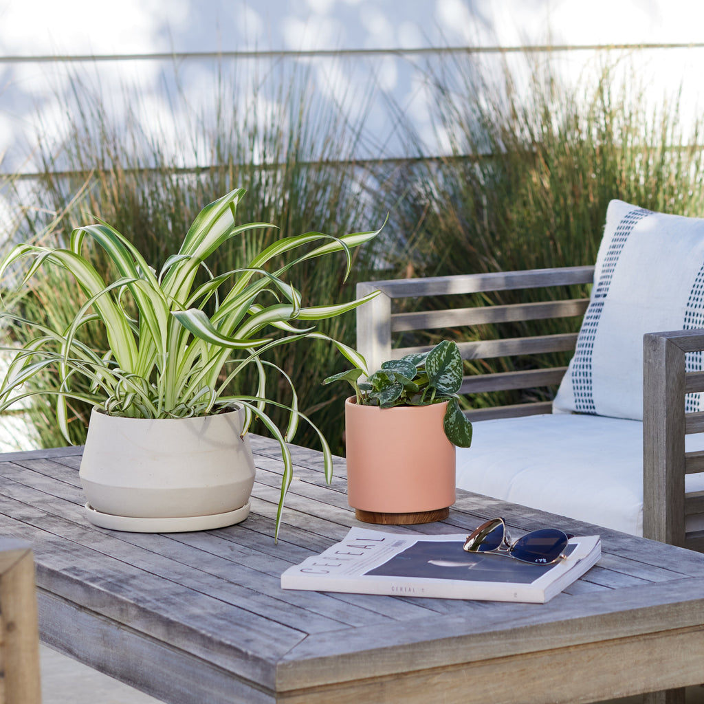 LBE Design Rancho Planter - 5 Inch with Saucer | Heirloom Boulevard