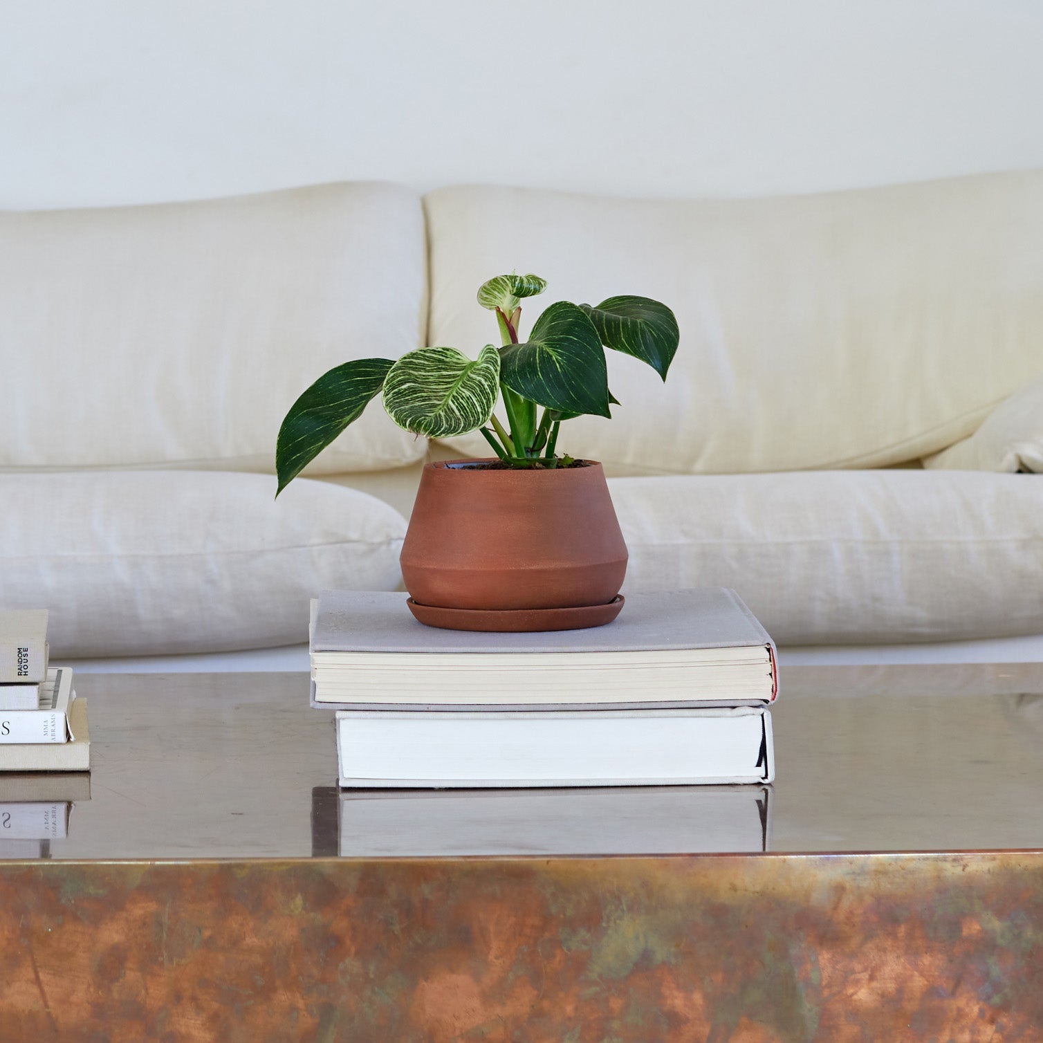 LBE Design Rancho Planter - 5 Inch with Saucer | Heirloom Boulevard