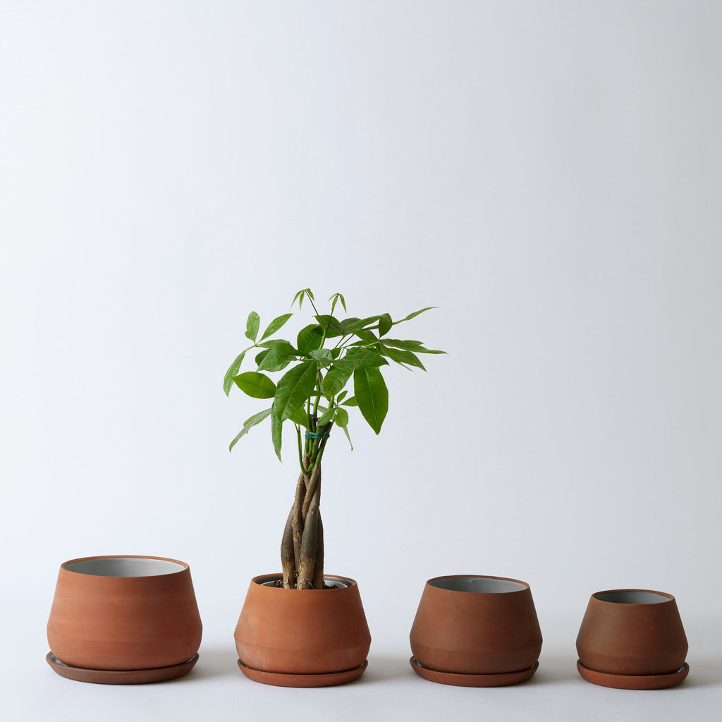 LBE Design Rancho Planter - 5 Inch with Saucer | Heirloom Boulevard