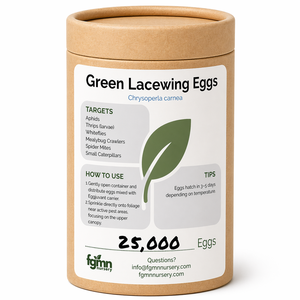 FGMN Nursery Green Lacewing Eggs 25,000 Eggs (500 Sq Ft) | Heirloom Boulevard