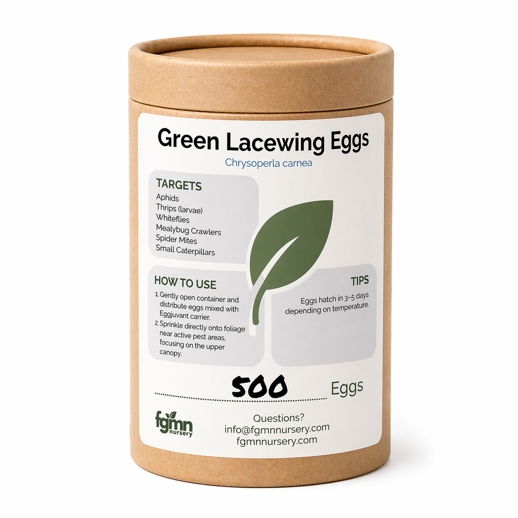 FGMN Nursery Green Lacewing Eggs 500 Eggs (10 Plants) | Heirloom Boulevard