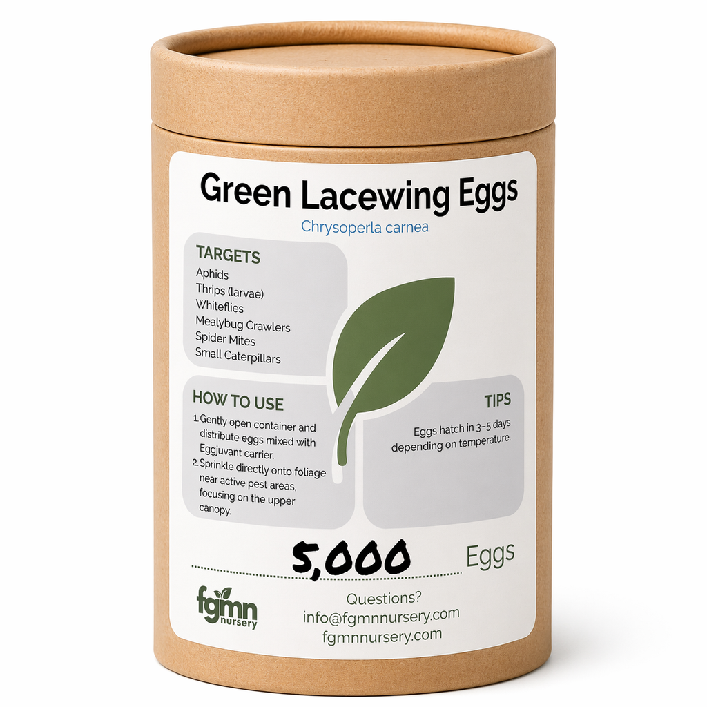 FGMN Nursery Green Lacewing Eggs 5,000 Eggs (100 Plants) | Heirloom Boulevard