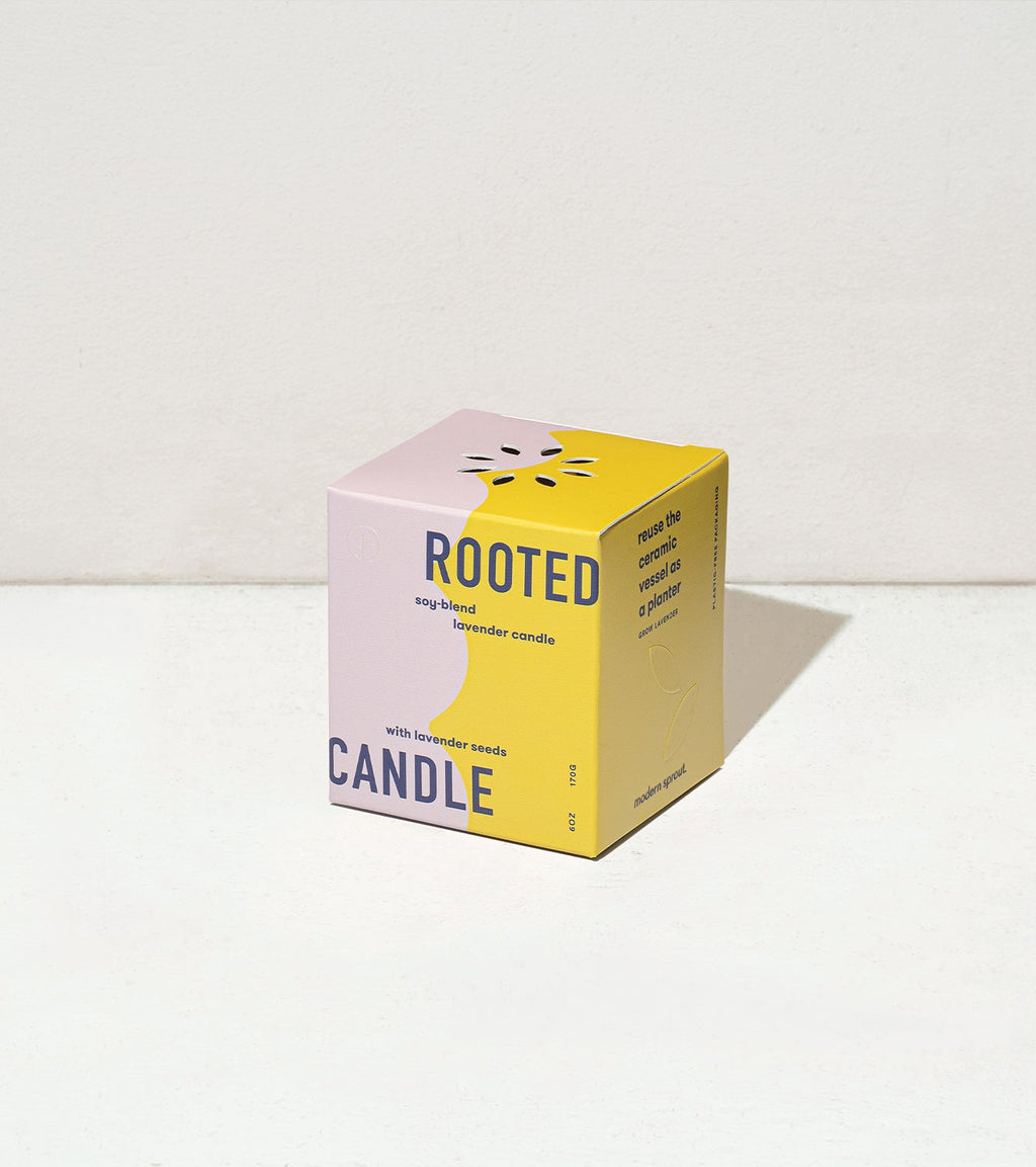 Modern Sprout Rooted Candles