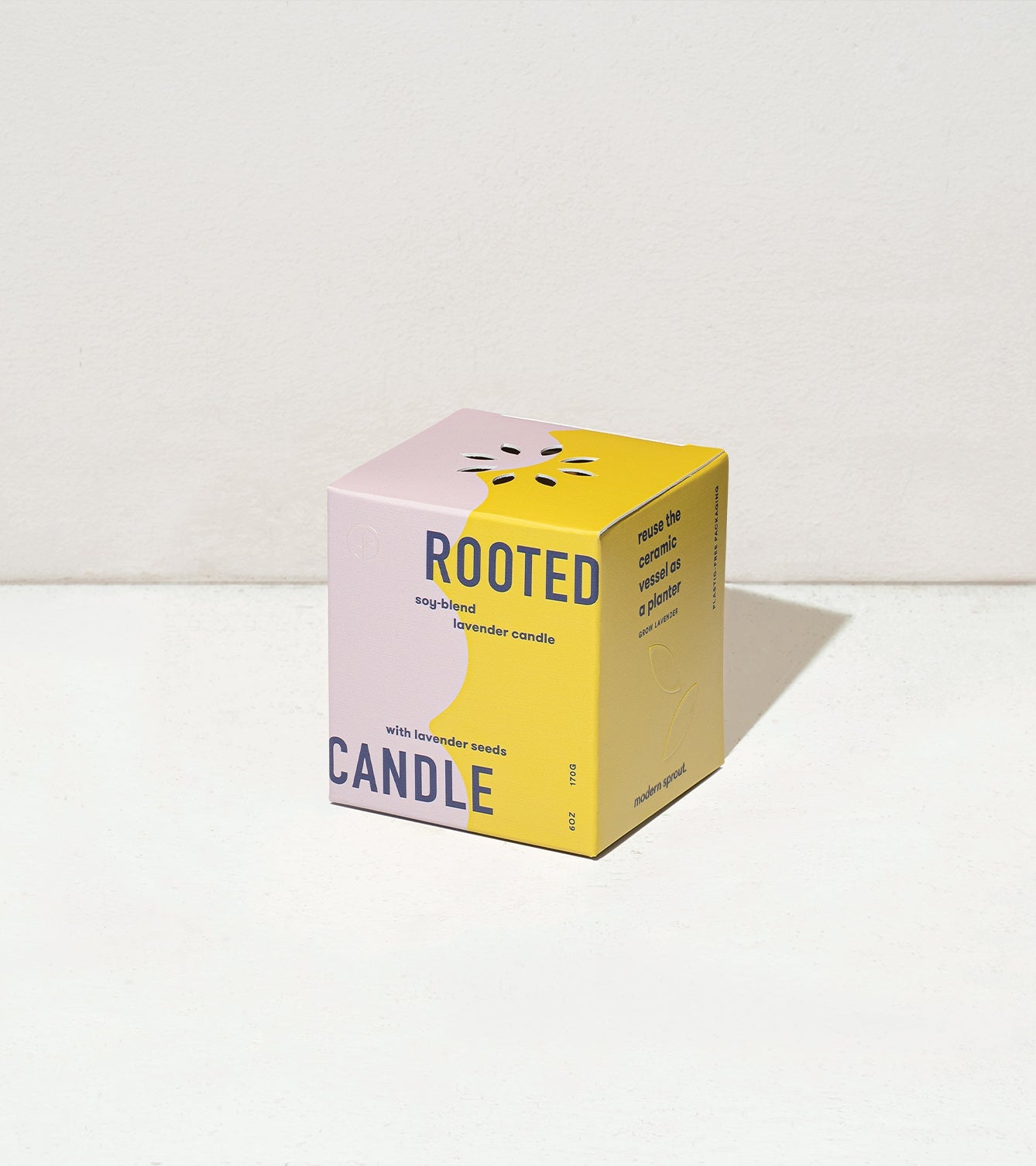 Modern Sprout Rooted Candles