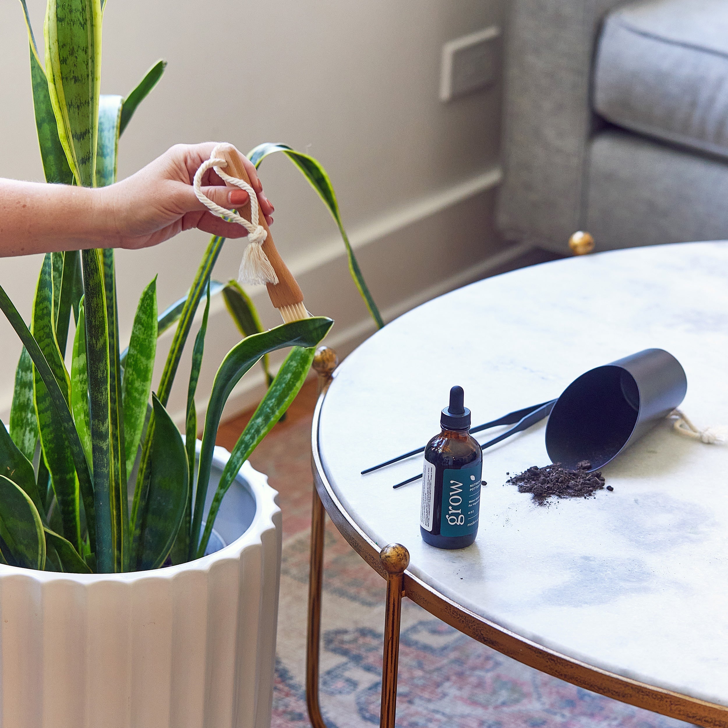 Modern Sprout Soil Scoop