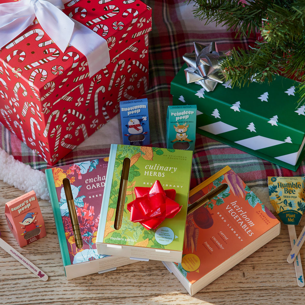Modern Sprout Seed Library | Heirloom Boulevard