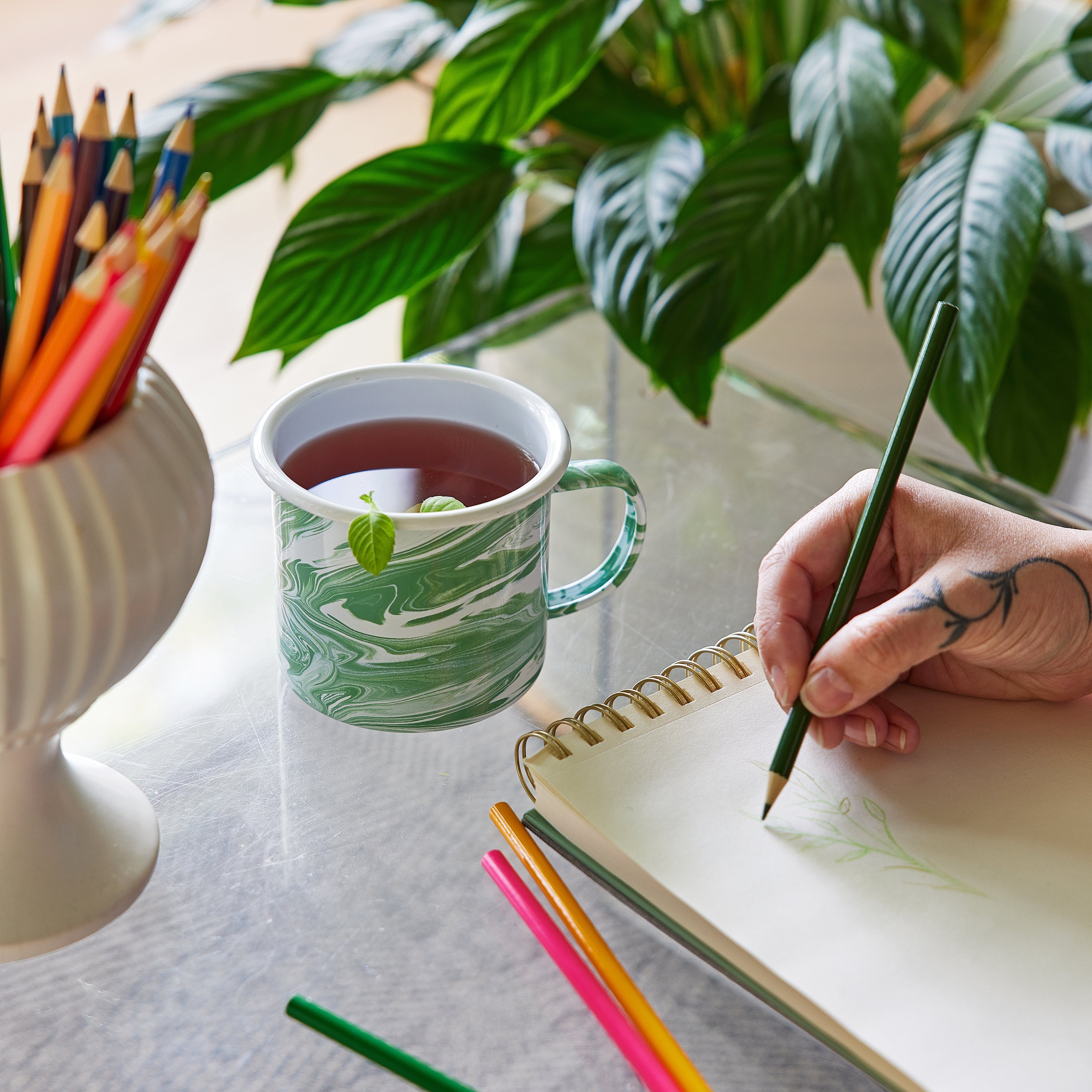 Modern Sprout Altered Herb Mug Grow Kits
