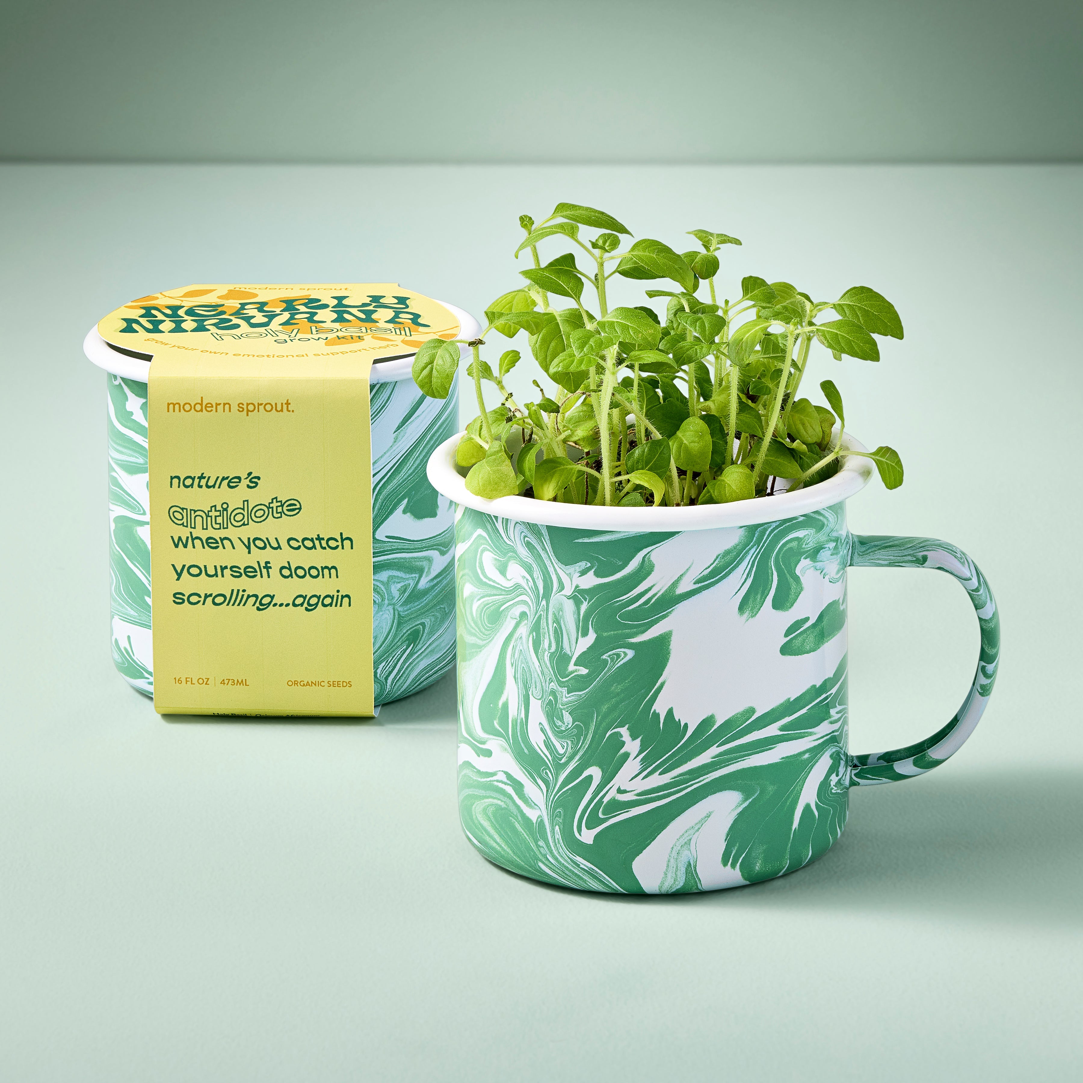 Modern Sprout Altered Herb Mug Grow Kits