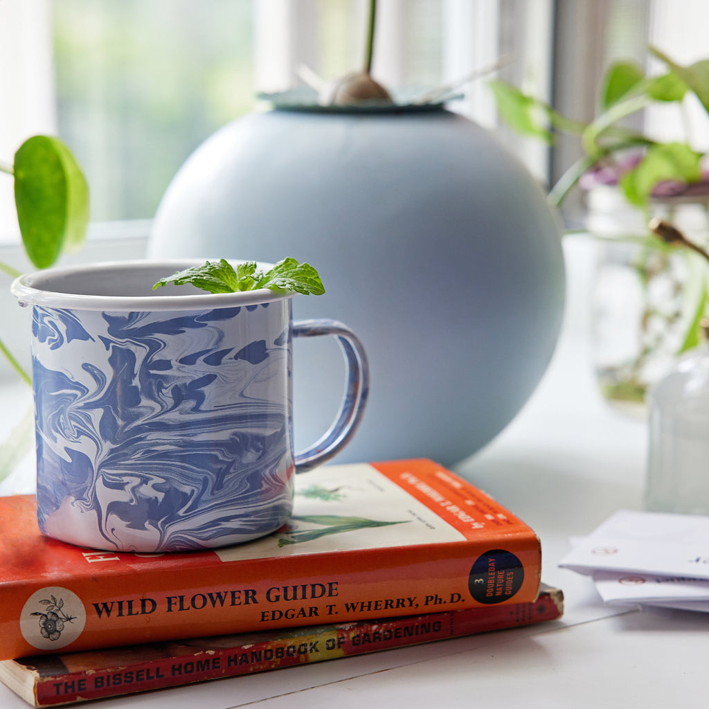 Modern Sprout Altered Herb Mug Grow Kits