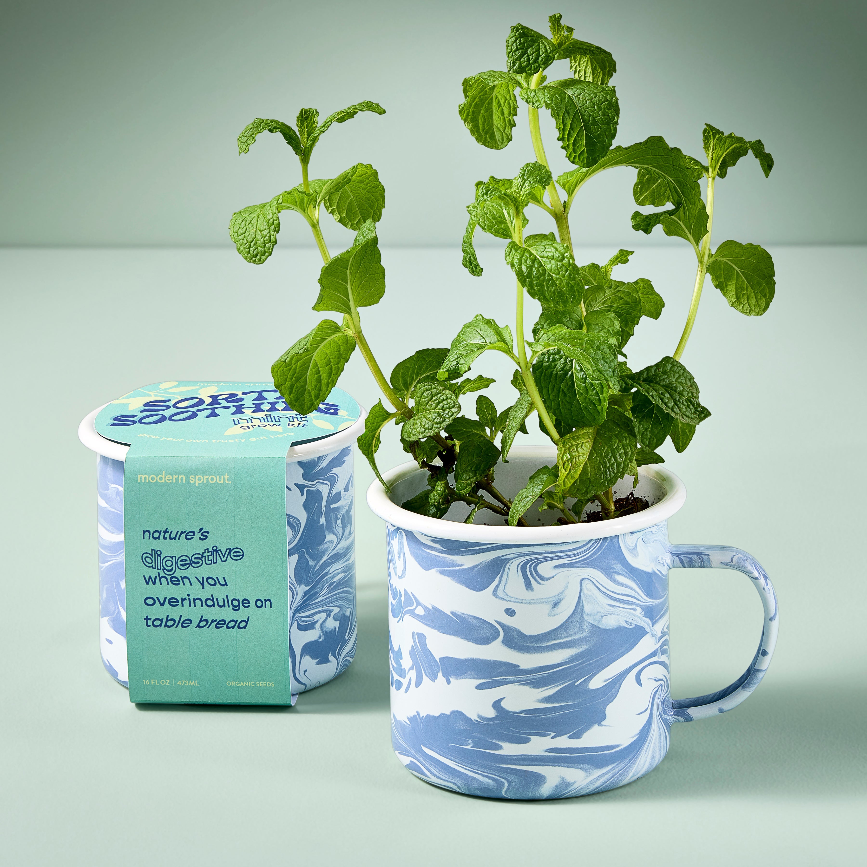 Modern Sprout Altered Herb Mug Grow Kits