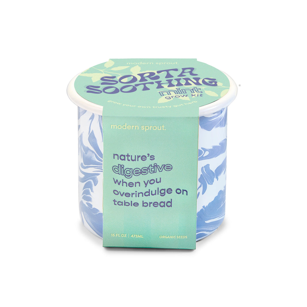 Modern Sprout Altered Herb Mug Grow Kits