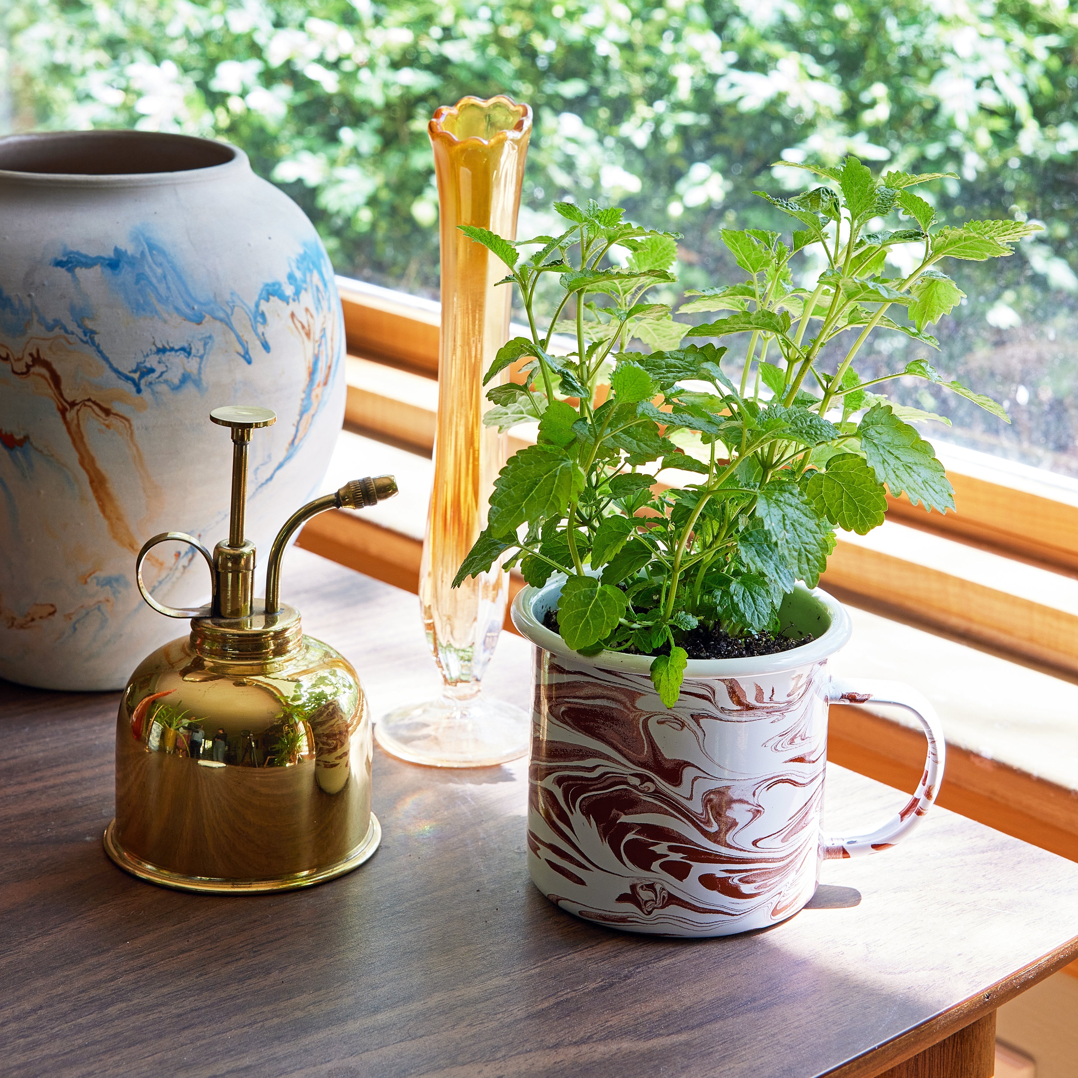 Modern Sprout Altered Herb Mug Grow Kits