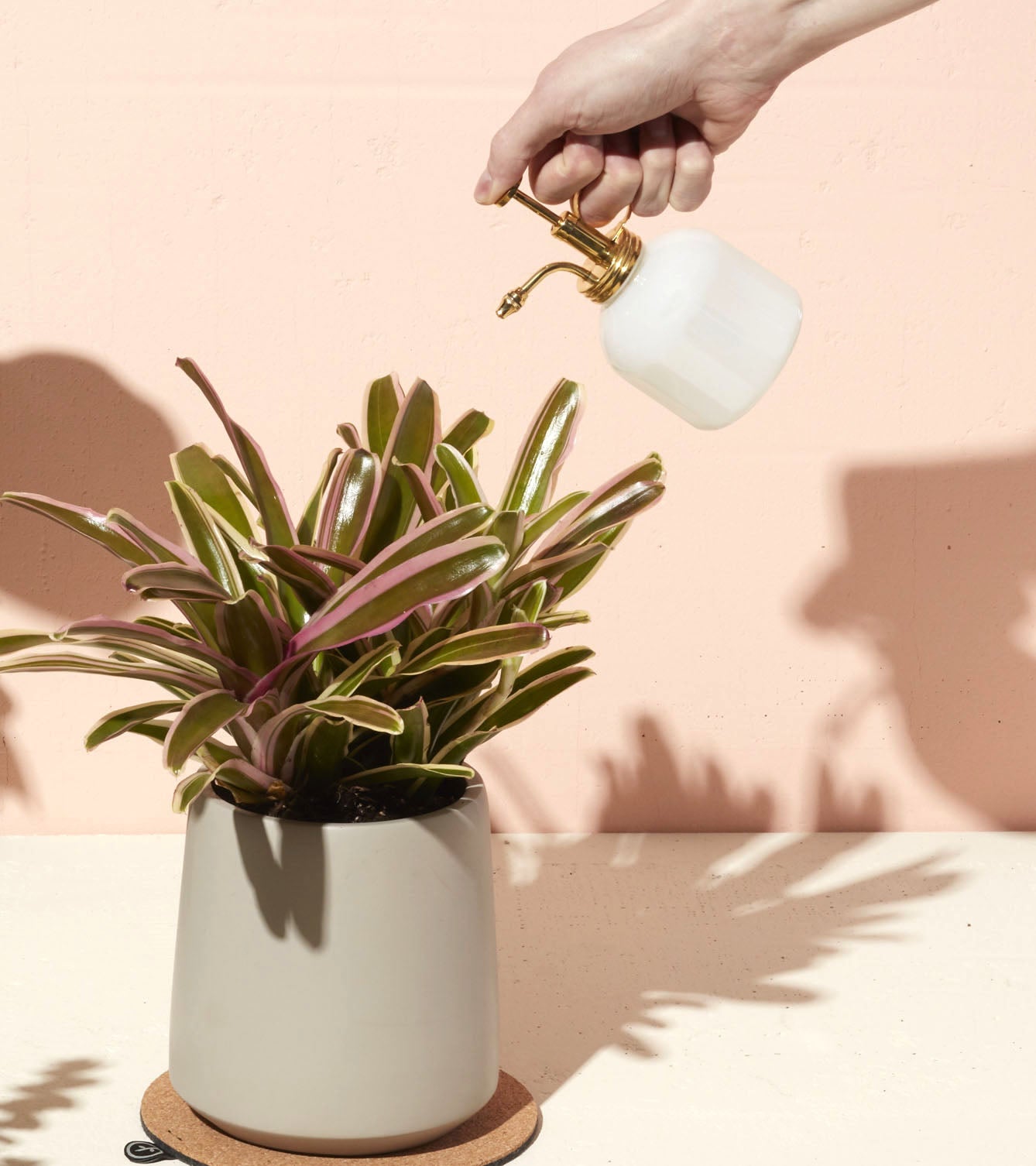 Modern Sprout Misters