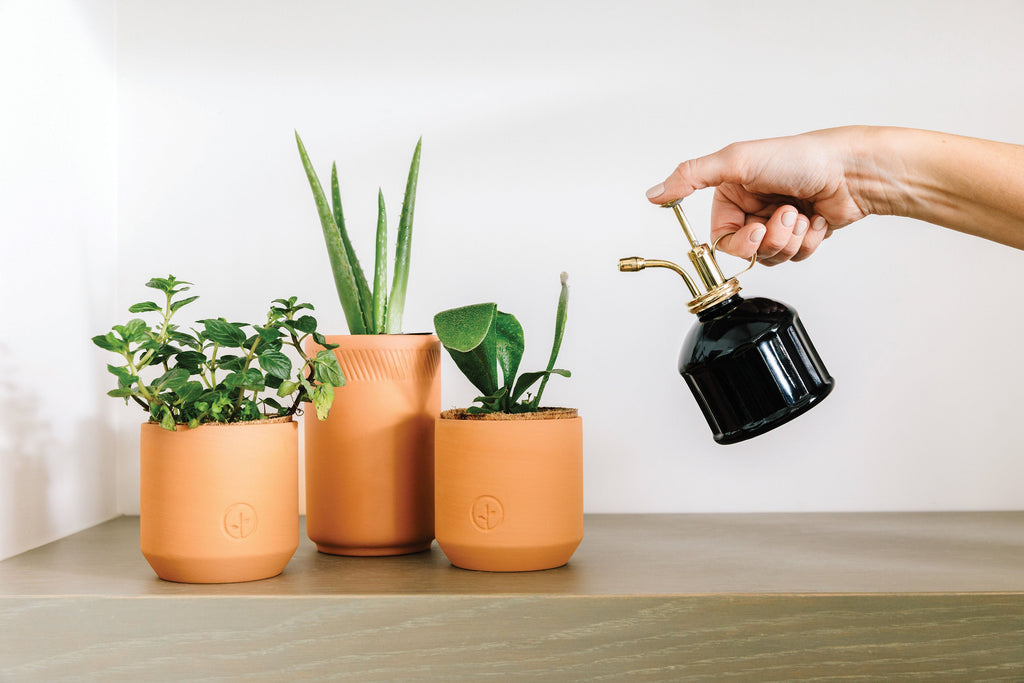 Modern Sprout Misters