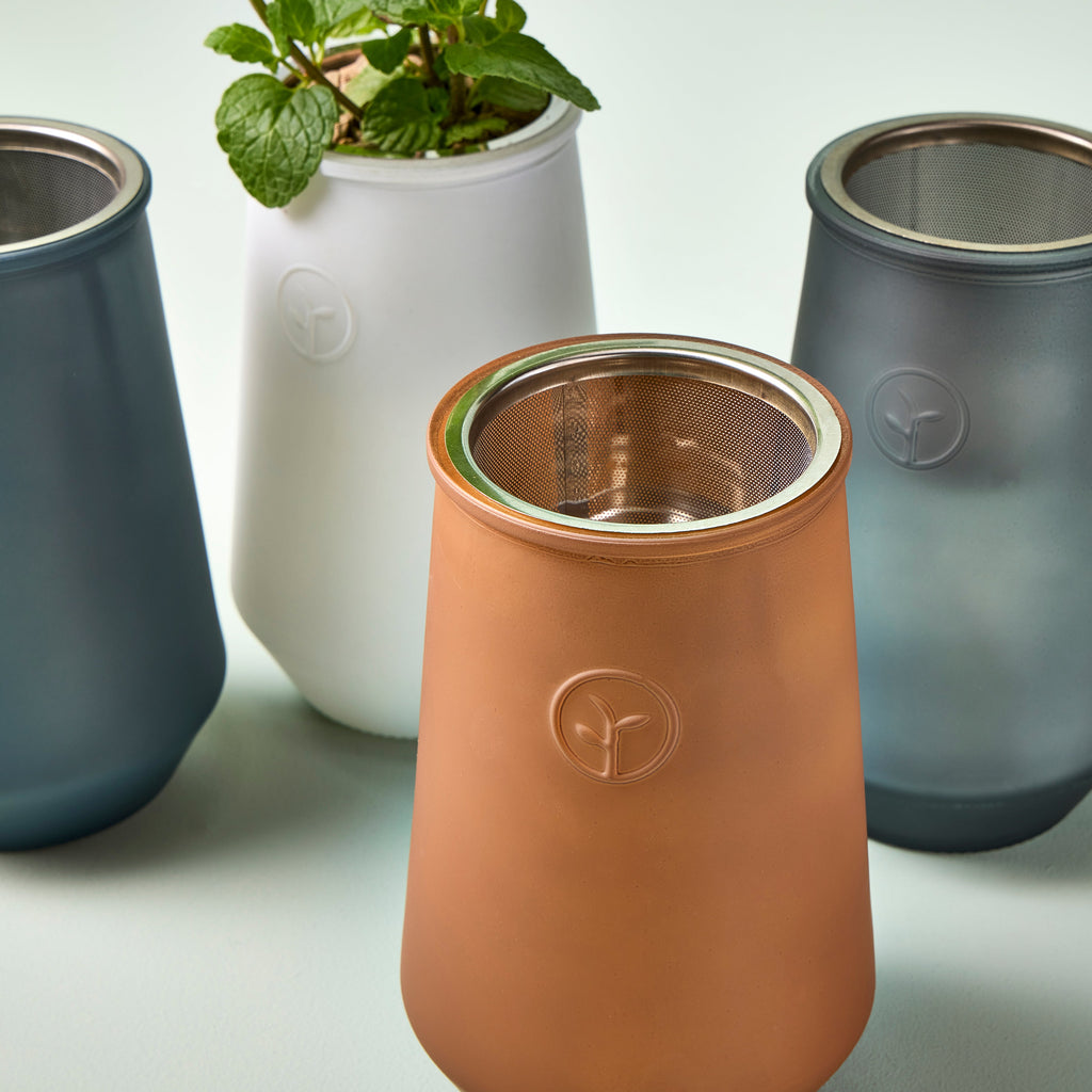 Modern Sprout Tapered Tumbler Grow Kits
