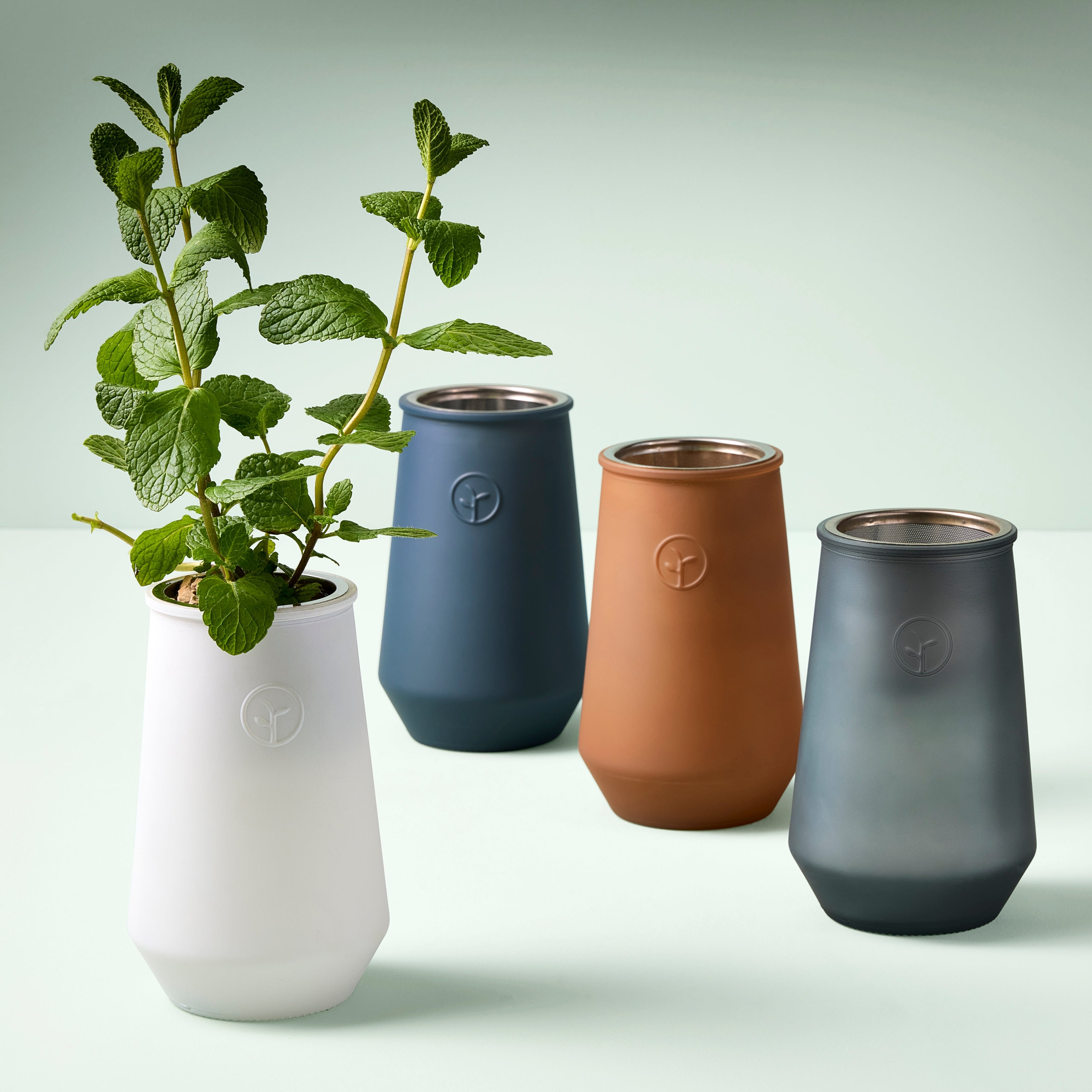 Modern Sprout Tapered Tumbler Grow Kits