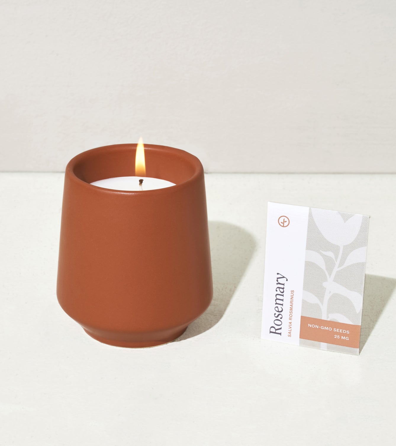Modern Sprout Rooted Candles