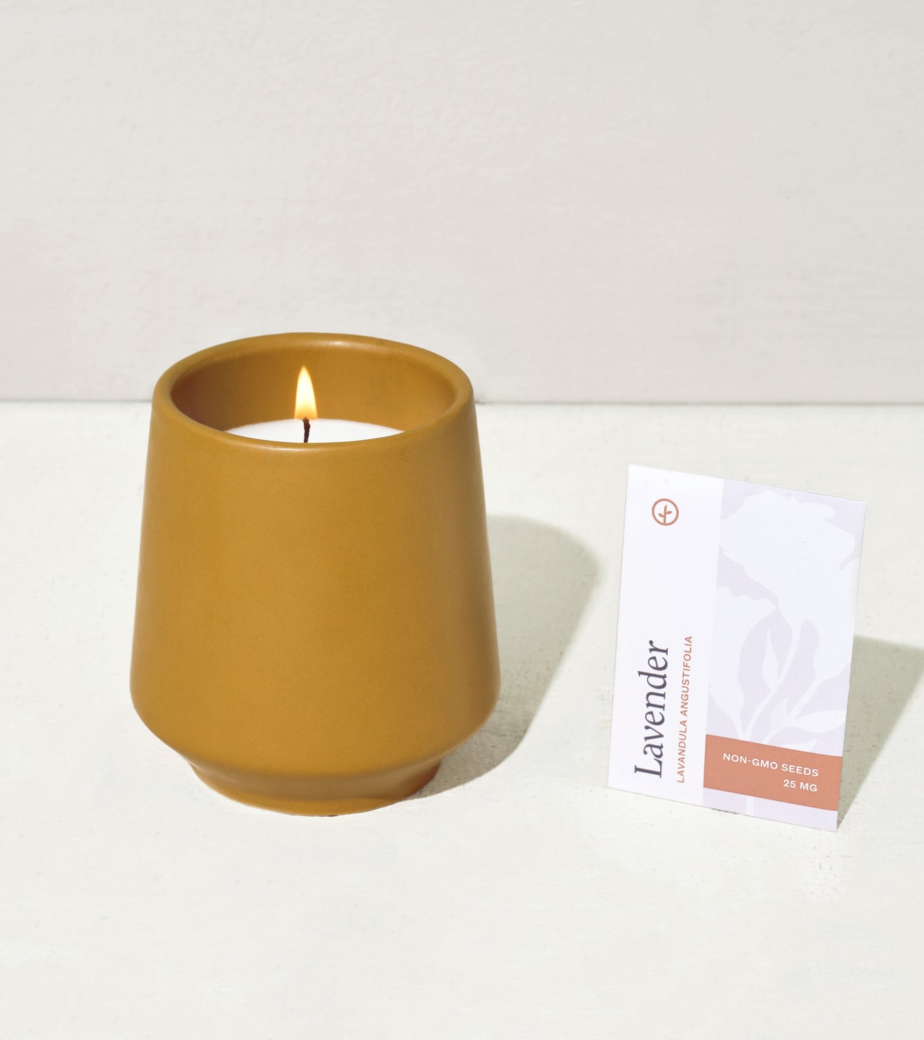 Modern Sprout Rooted Candles
