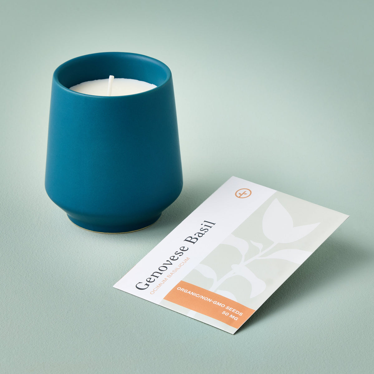 Modern Sprout Rooted Candles | Heirloom Boulevard